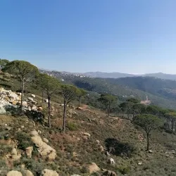 Community Cultural Center - Salima