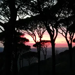 Community Cultural Center - Salima