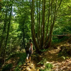 Hiking Trails Around Salima - Salima