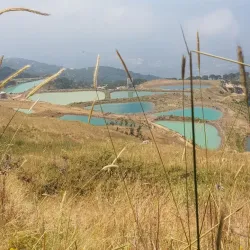 Natural Springs Near Salima - Salima