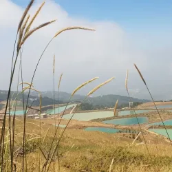 Natural Springs Near Salima - Salima
