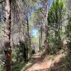 Nearby Natural Reserves - Salima