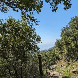 Nearby Natural Reserves - Salima