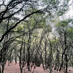 Nearby Natural Reserves - Salima