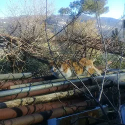 Salima Old Village - Salima