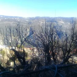 Salima Old Village - Salima