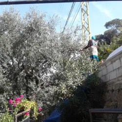 Salima Old Village - Salima