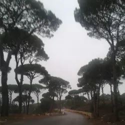 Salima Old Village - Salima