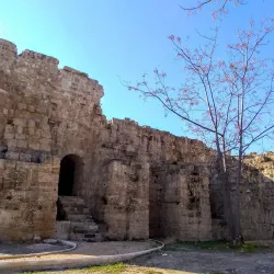 Sayda Castle (Castle of Saint Louis) - Sayda