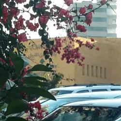 Sin el Fil Cinema - Sin el Fil