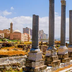 Tyre Archaeological Site - Tyre (Sour)