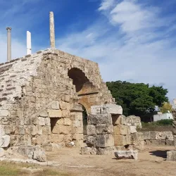 Tyre Hippodrome - Tyre (Sour)