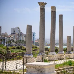 Tyre Museum - Tyre (Sour)