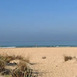 Tyre Sea Castle - Tyre (Sour)