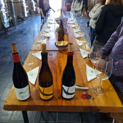 Beqaa Valley Vineyards - Zahlah