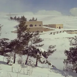 Beqaa Valley Vineyards - Zahlah