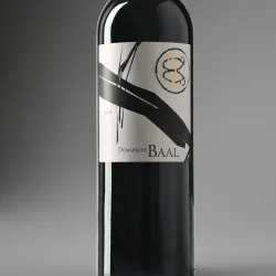 Beqaa Valley Vineyards - Zahlah