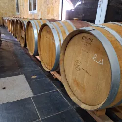 Beqaa Valley Vineyards - Zahlah