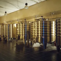 Beqaa Valley Vineyards - Zahlah