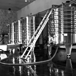 Beqaa Valley Vineyards - Zahlah