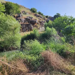 Litani River - Zahlah
