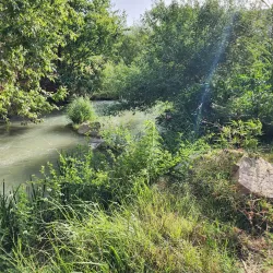 Litani River - Zahlah