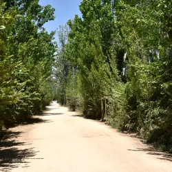 Zahlah Promenade (Corniche) - Zahlah