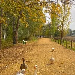Zahlah Promenade (Corniche) - Zahlah