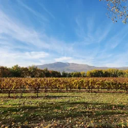 Zahlah Promenade (Corniche) - Zahlah