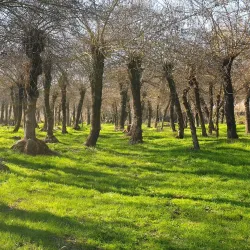 Zahlah Promenade (Corniche) - Zahlah