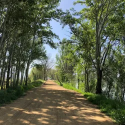 Zahlah Promenade (Corniche) - Zahlah