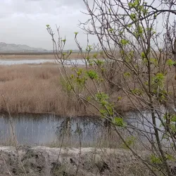 Zahlah Public Garden - Zahlah