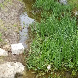 Zahlah Public Garden - Zahlah