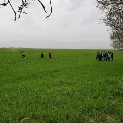 Zahlah Public Garden - Zahlah