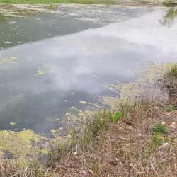 Zahlah Public Garden - Zahlah