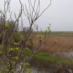 Zahlah Public Garden - Zahlah
