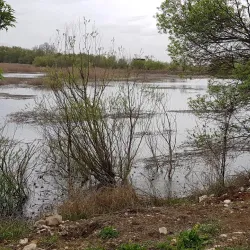 Zahlah Public Garden - Zahlah