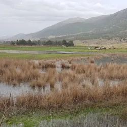 Zahlah Public Garden - Zahlah
