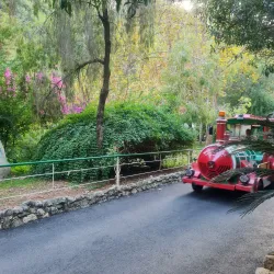 Jeita Grotto - Zalqa (Zalka)