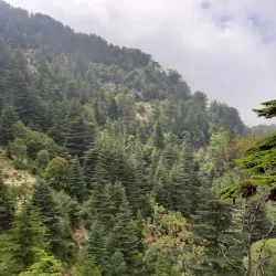 Ehden Natural Reserve - Zgharta