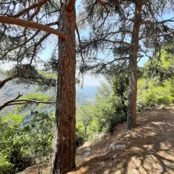 Ehden Natural Reserve - Zgharta