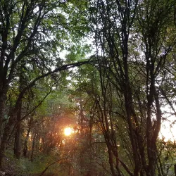 Ehden Natural Reserve - Zgharta