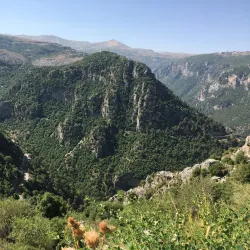 Ehden Natural Reserve - Zgharta