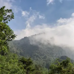 Ehden Natural Reserve - Zgharta