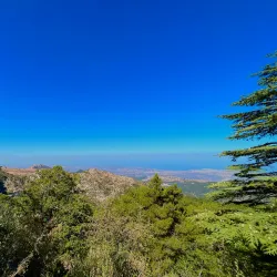 Ehden Natural Reserve - Zgharta