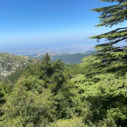 Ehden Natural Reserve - Zgharta
