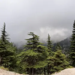 Ehden Natural Reserve - Zgharta