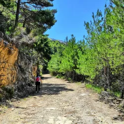 Ehden Natural Reserve - Zgharta