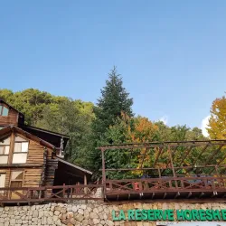 Ehden Natural Reserve - Zgharta