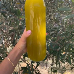 Local Olive Oil Press - Zgharta